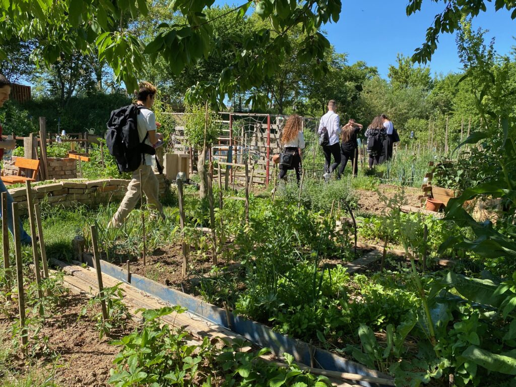 Partners walking in the community allotment gardens at Hidepark